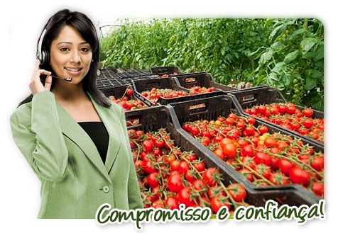 Iguape Legumes - Fale Conosco