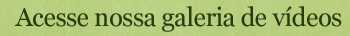 Galeria de Vídeos