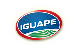 ir para a página inicial