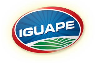 Ir para a página inicial