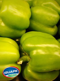 Pepino Japones