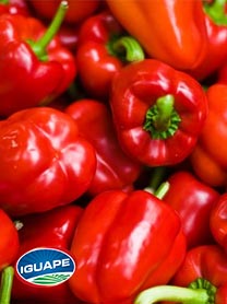 Pimentão Vermelho